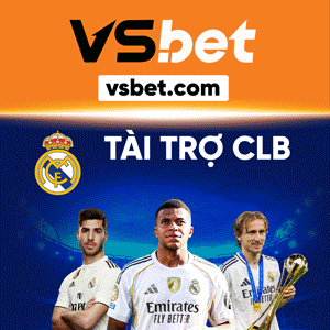 Banner Euro